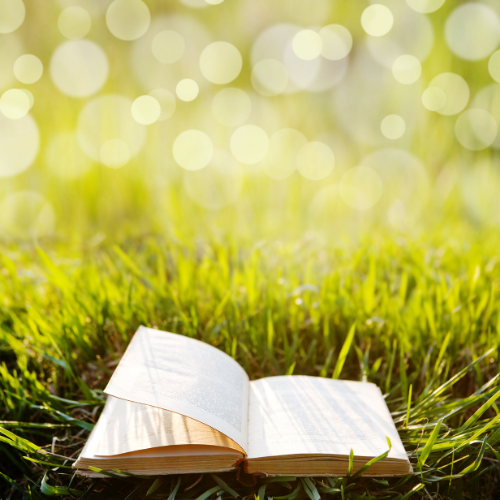 Book lying open on grass