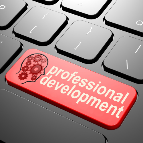 Image of a keyboard with a key saying Professional Development